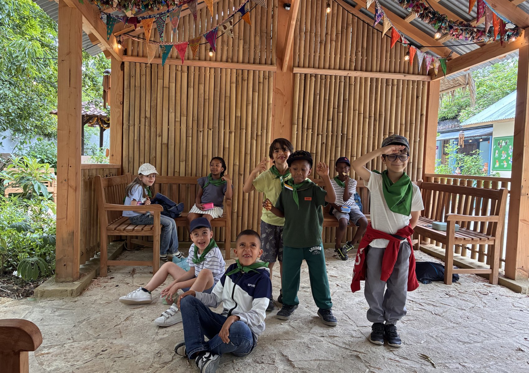 image 13